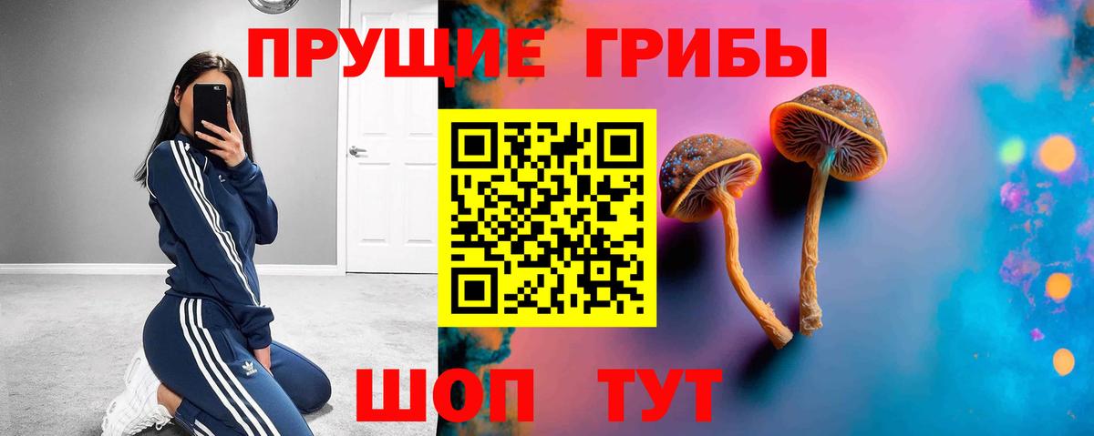 Псилоцибиновые грибы мухоморы Чистополь
